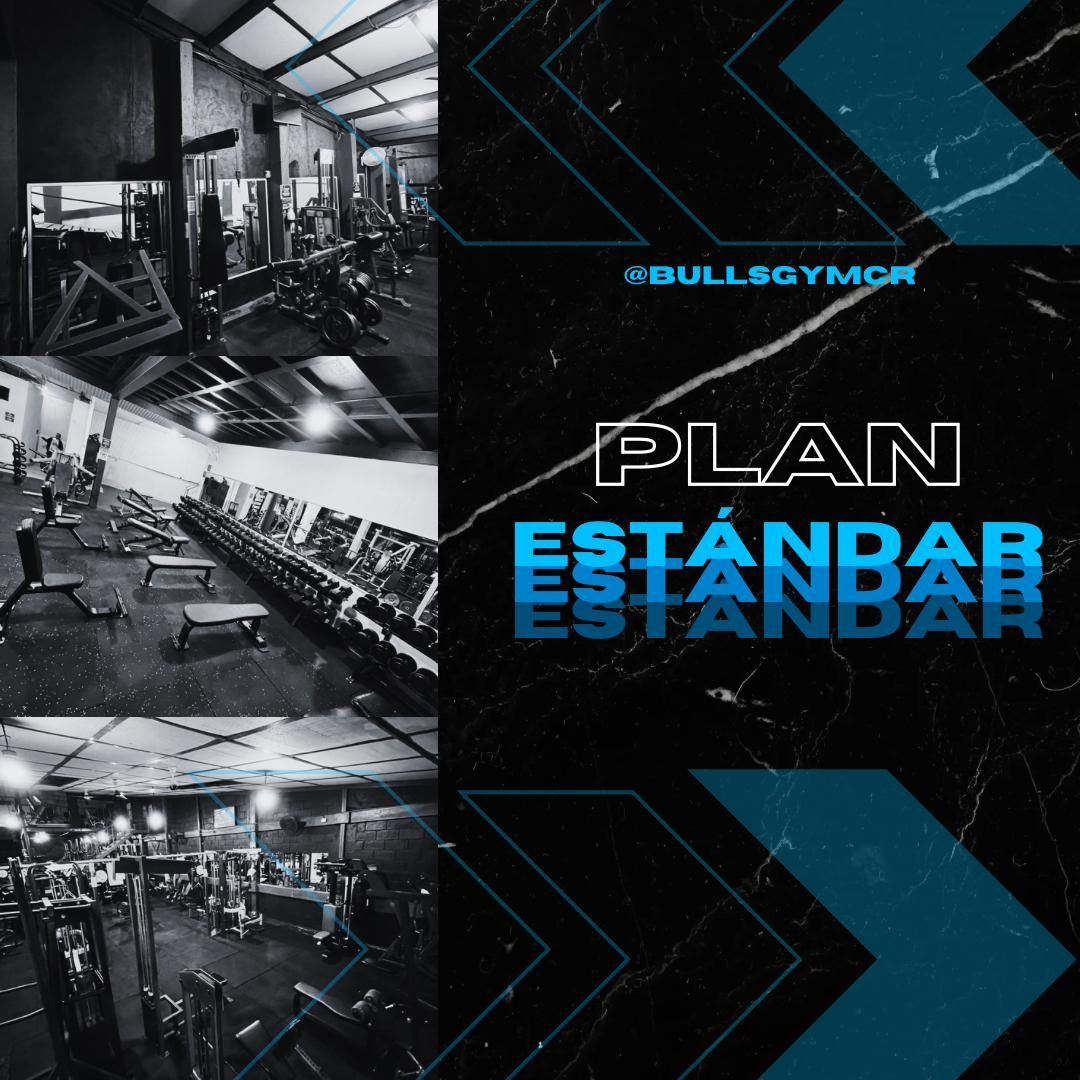 Plan Básico