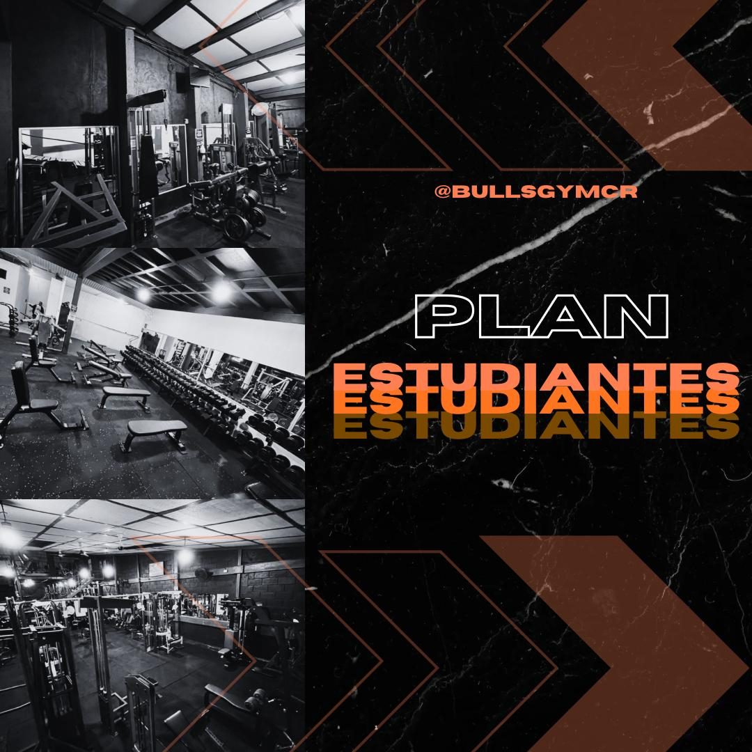Plan Corporativo
