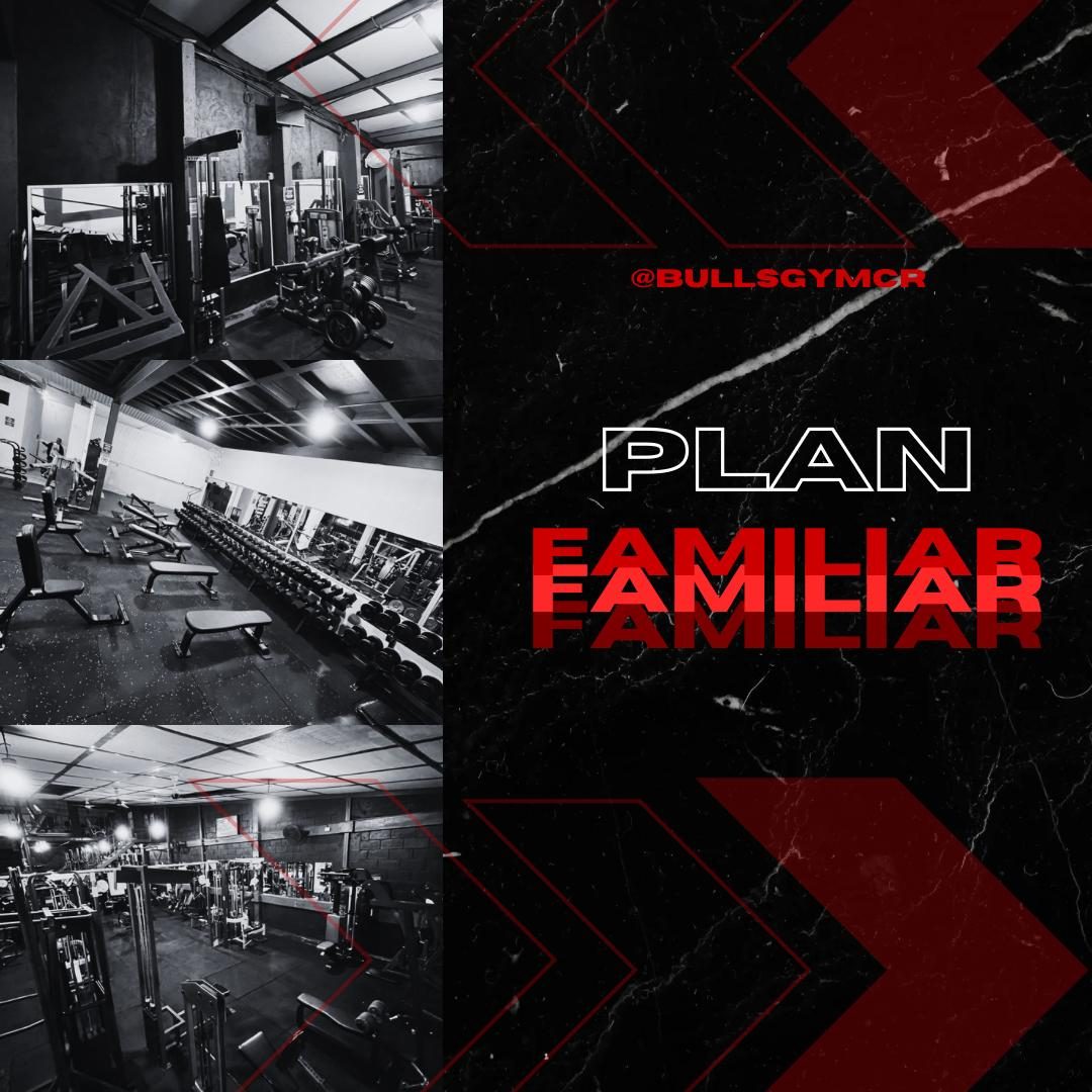 Plan Estándar