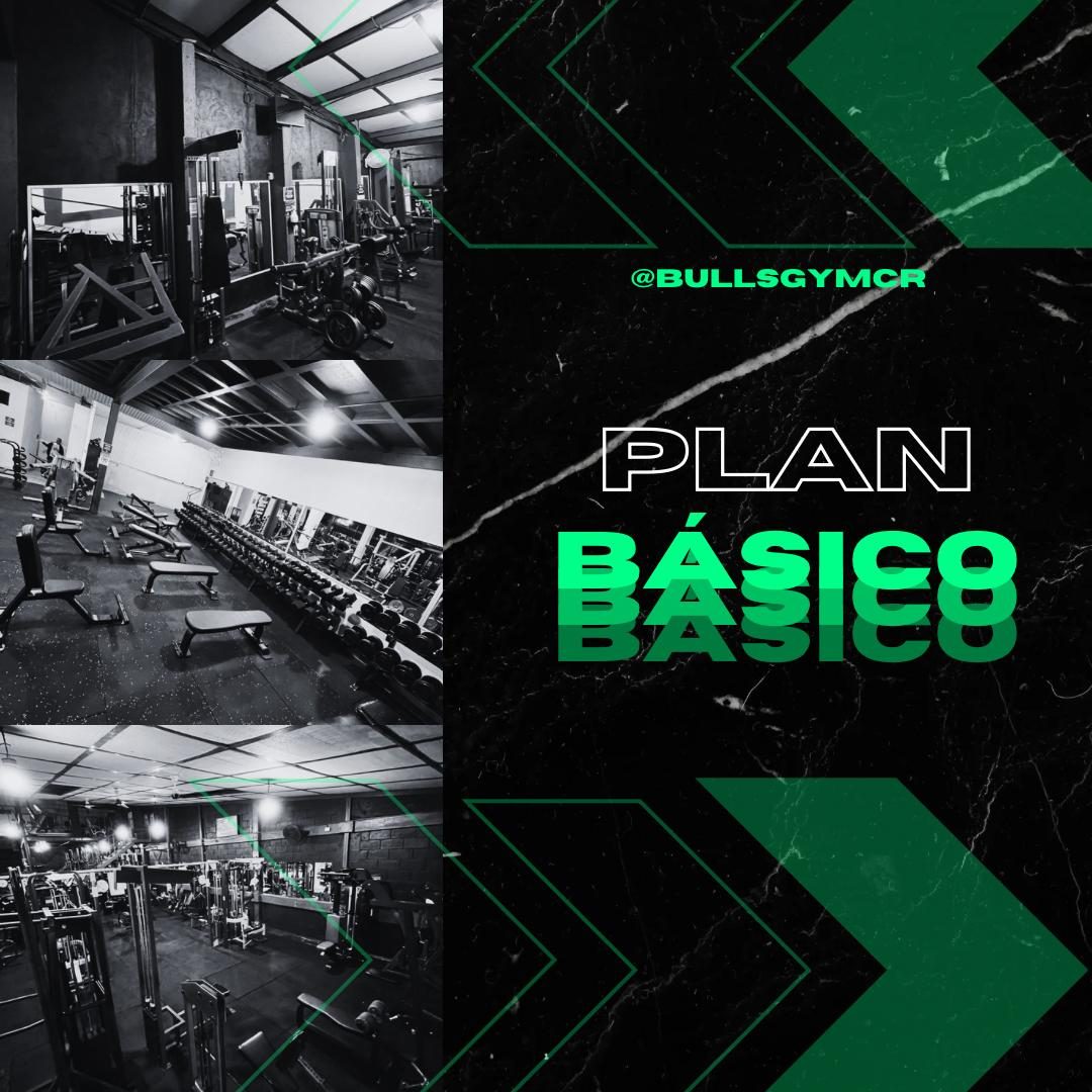 Plan Familiar