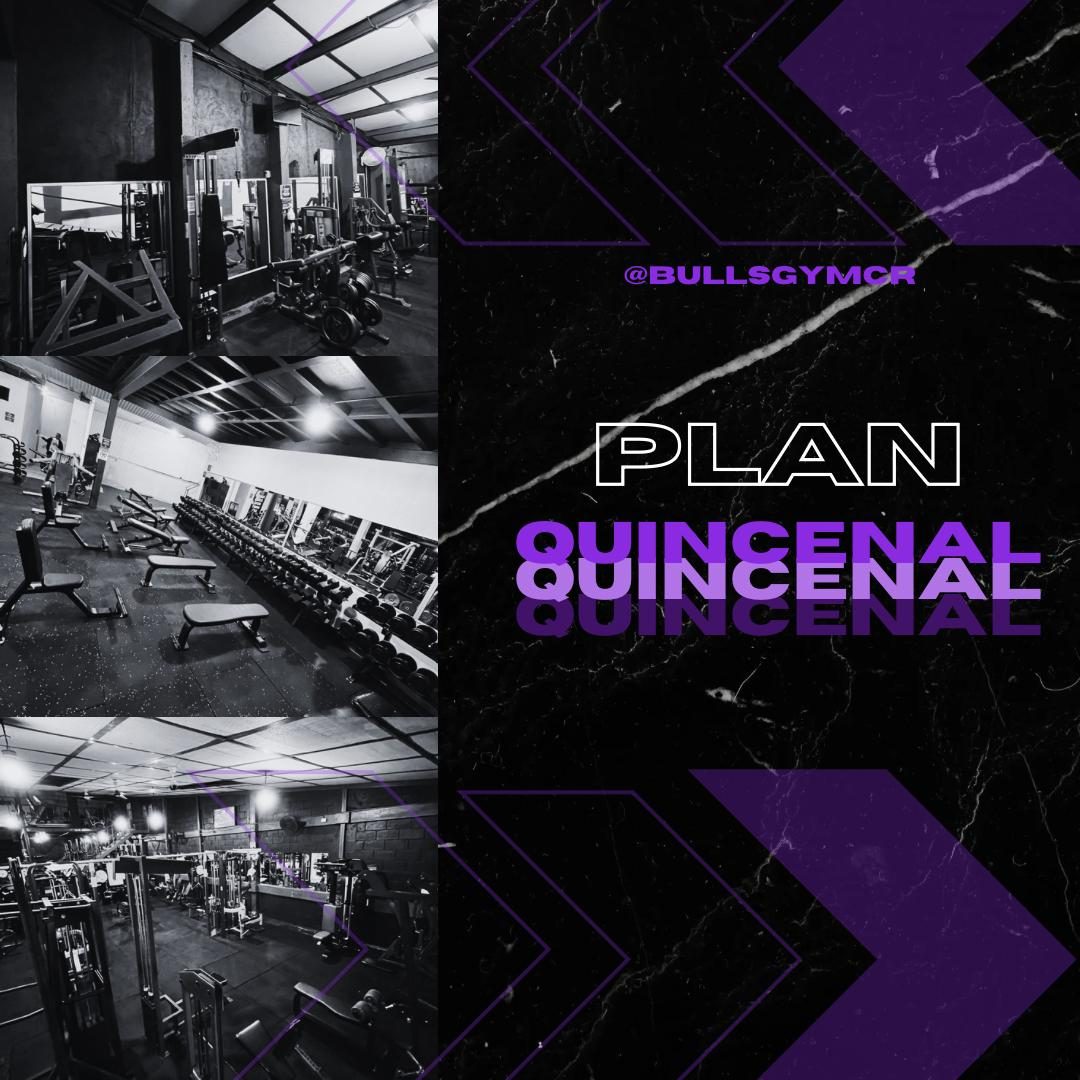 Plan Semanal